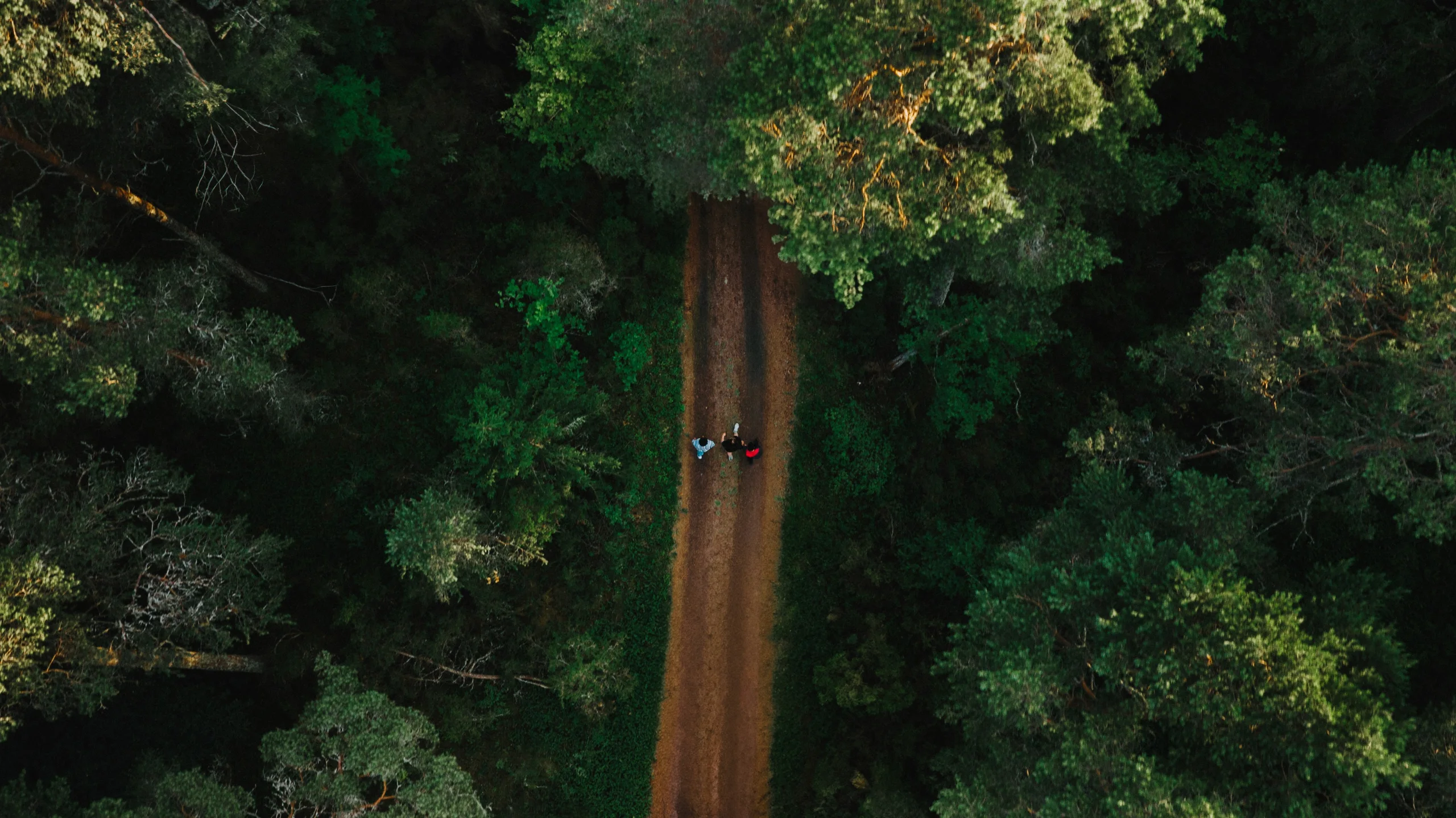 Aerial view of a dirt road cutting through dense green forest